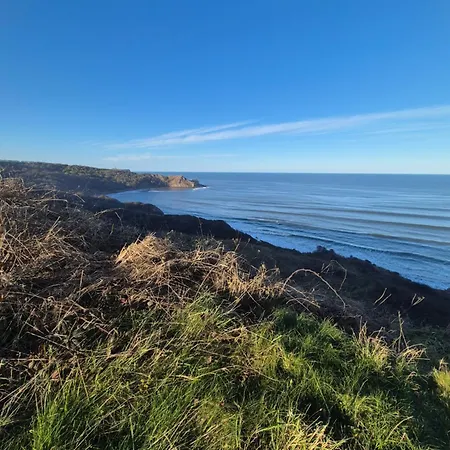Cayton Bay Gosling 2
