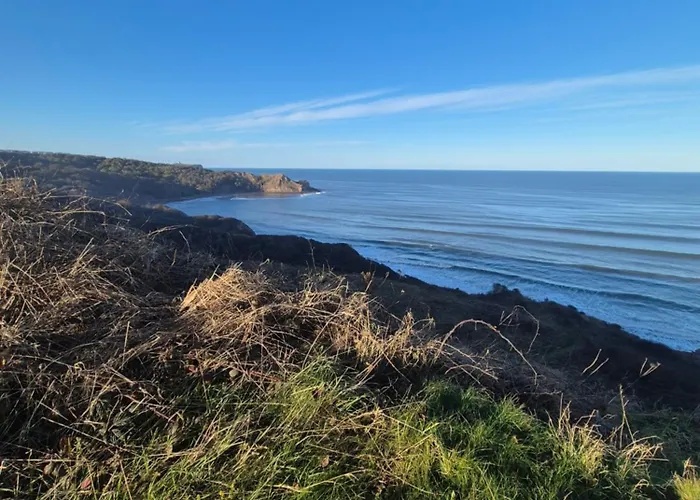 Cayton Bay Gosling 2