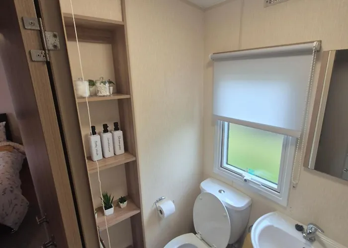 Cayton Bay Gosling 2 *