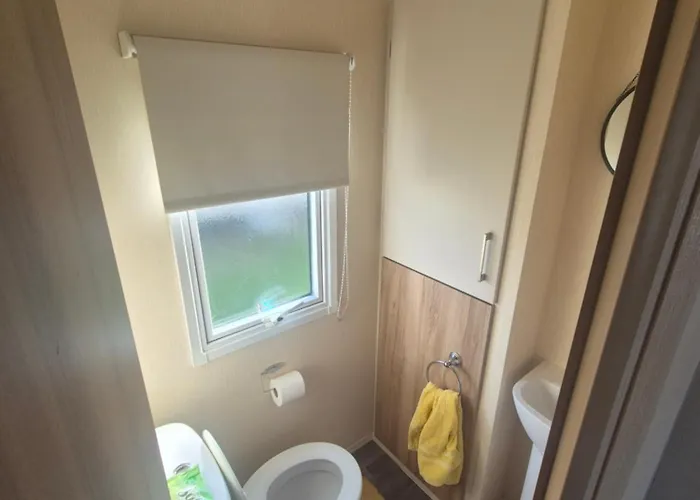 Cayton Bay Gosling 2 *